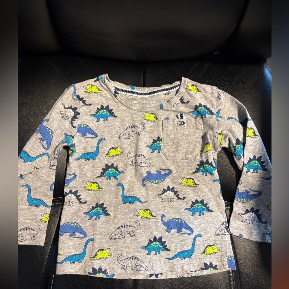 Dinosaurs shirt. Pocket detail